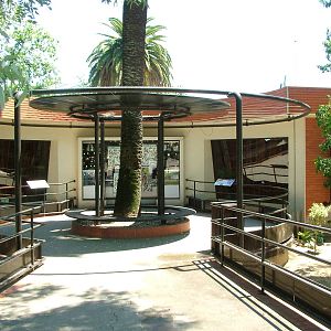 Koala Exhibit at Lisbon Zoo, 24/05/11