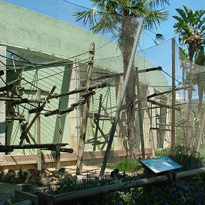 Monkey Exhibits at Lisbon Zoo, 24/05/11
