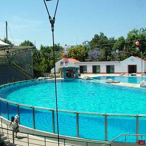 Dolphinarium at Lisbon Zoo, 24/05/11