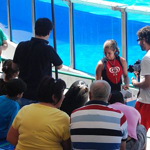 Sea Lion on Parade at Lisbon Zoo, 24/05/11