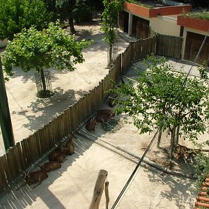 Paddocks at Lisbon Zoo, 24/05/11