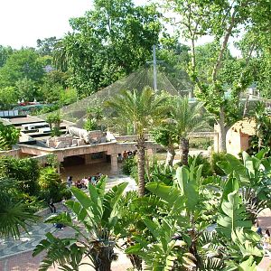Tiger Temple at Lisbon Zoo, 24/05/11