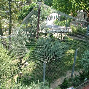 White Tiger Exhibit at Lisbon Zoo, 24/05/11