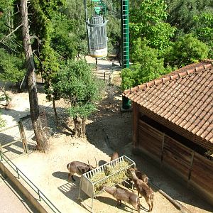Antelope Paddocks at Lisbon Zoo, 24/05/11