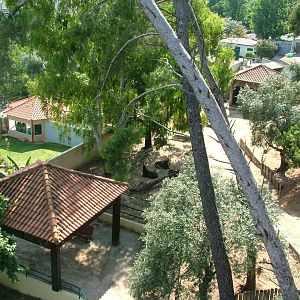 Sable Antelope Paddock at Lisbon Zoo, 24/05/11