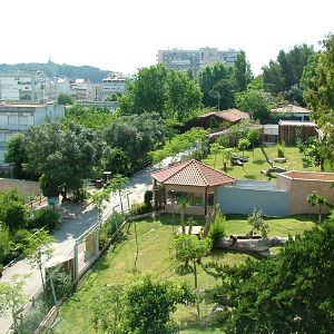 Cheetah Exhibits at Lisbon Zoo, 24/05/11
