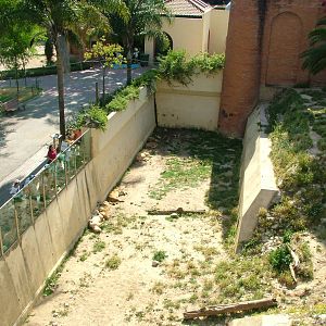 Angolan Lion Exhibit at Lisbon Zoo, 24/05/11