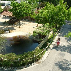 Indian Rhino Paddock at Lisbon Zoo, 24/05/11