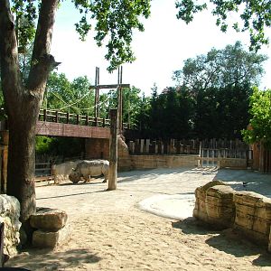 Southern White Rhino Paddock at Lisbon Zoo, 24/05/11