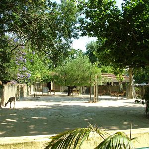 Impala Exhibit at Lisbon Zoo, 24/05/11