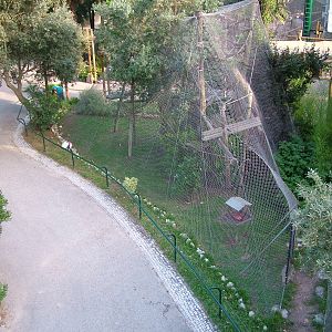 Lemur Exhibits at Lisbon Zoo, 24/05/11