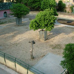 Common Hippo Exhibit at Lisbon Zoo, 24/05/11