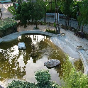 Pygmy Hippo Exhibit at Lisbon Zoo, 24/05/11