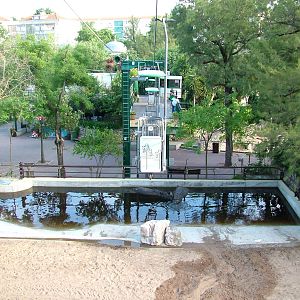 Indian Rhino Bathing Pool at Lisbon Zoo, 24/05/11