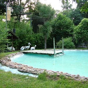 Pelican Exhibit at Lisbon Zoo, 24/05/11