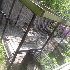 Upgraded Sumtran Tiger holding area