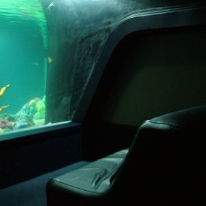 Turtle Tank Viewing Area at Lisbon Oceanarium, 25/05/11