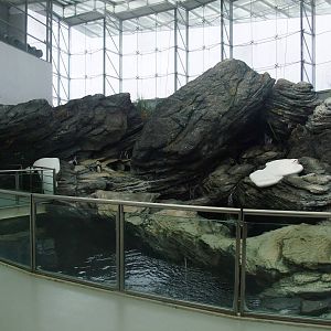 Penguin Exhibit at Lisbon Oceanarium, 25/05/11