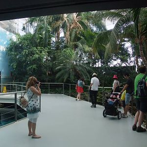 Tropical Rainforest at Lisbon Oceanarium, 25/05/11
