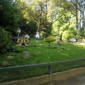 Guinea pig exhibit at Hamburg