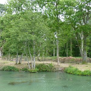 Site of New Gorilla Enclosure
