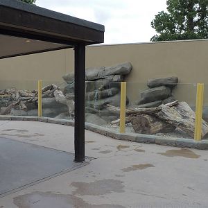 Jungle Kingdom - Short-Clawed Otter Enclosure