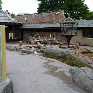 Jungle Kingdom - Walk-through Chipmunk Enclosure