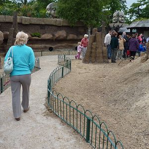 Jungle Kingdom - Walk-through Meerkat and Mongoose Enclosure