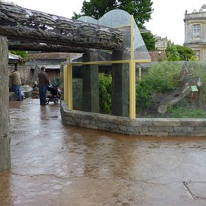 Jungle Kingdom - Coati (and Binturong?) Walkways