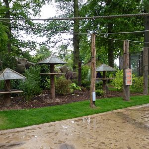 Jungle Kingdom - Monkey Temple