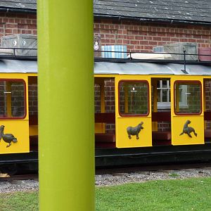 Jungle Express Carriages