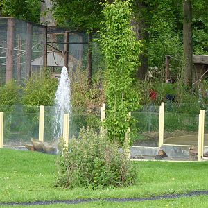 Jungle Kingdom - View of Monkey Temple area from Station