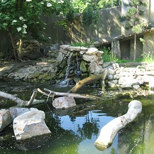 Pool for otters,  Warsaw Zoo