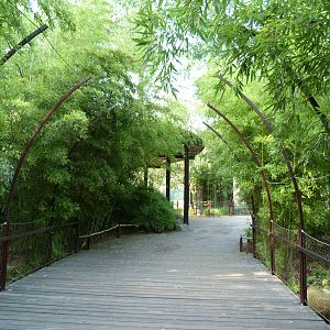 Entrance to Asia Trail