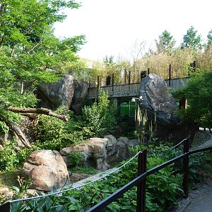Third Panda Exhibit
