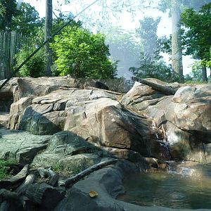 Sloth Bear Exhibit