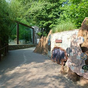 Asia Trail Graphic Art