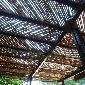 Roof Design in Asia Trail