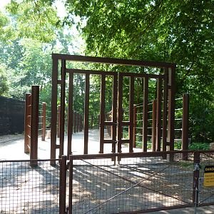 Elephant Trek (End by Bird House)