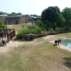 Three Elephants in their Exhibits