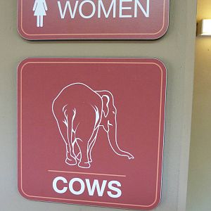 Women's Bathroom Sign