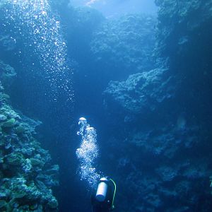 Diving at Snake Gully