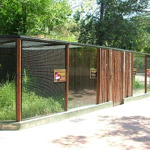 European Mink Exhibit at Madrid Zoo Aquarium, 26/05/11