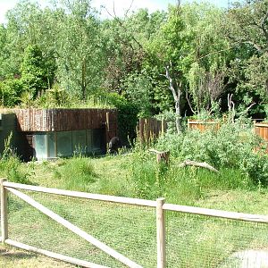 Cassowary Exhibit at Madrid Zoo Aquarium, 26/05/11