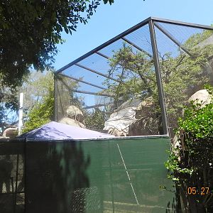 zoo construction May 2011 Chinese Leopard Exhibit