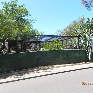 zoo construction May 2011 Chinese Leopard exhibit