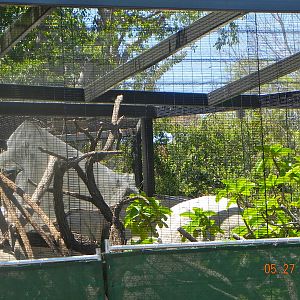 zoo construction May 2011