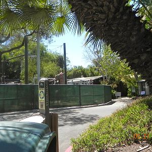 Construction of Chinese Leopard exhibit