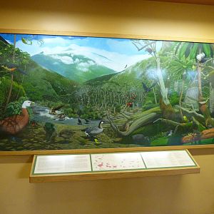 Inside the Bird House