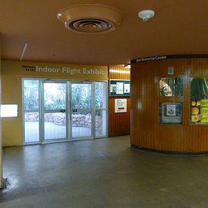 Walkway around outside bird exhibits